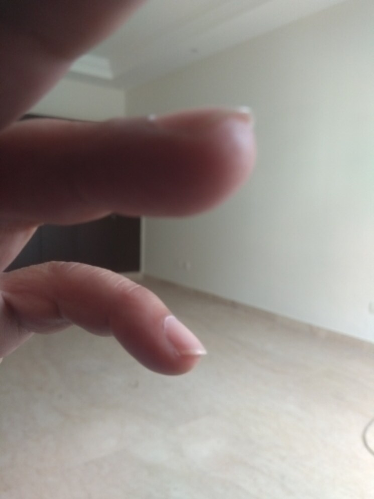 Master Bedroom, new friends colony 6 Bedroom 500 Sq.Yd. Independent House In New Friends Colony Delhi 8504909