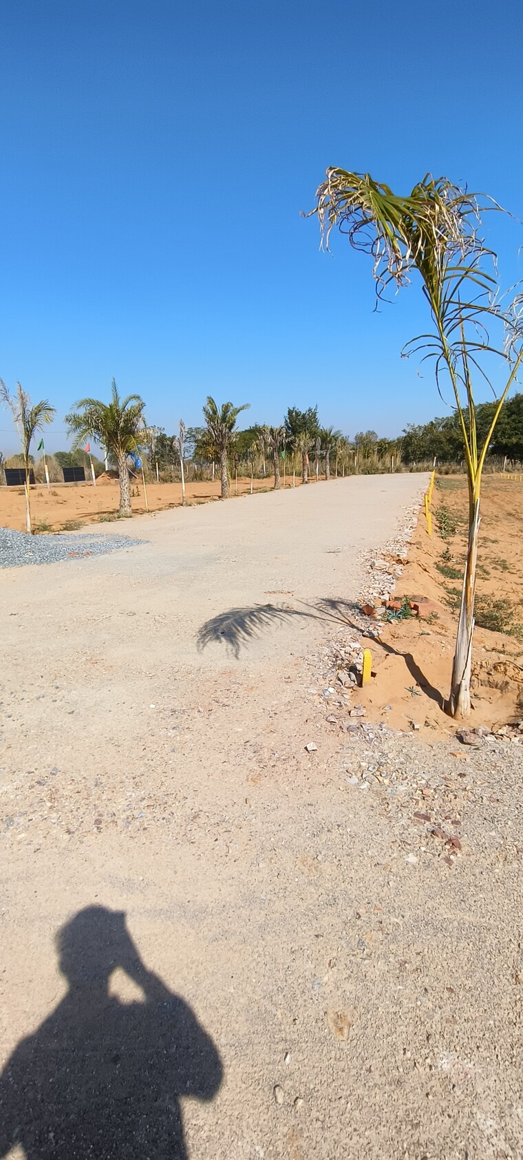 Exterior View, sector 16 a  300 Sq.Yd. Plot In Sector 16 A Faridabad 8505090