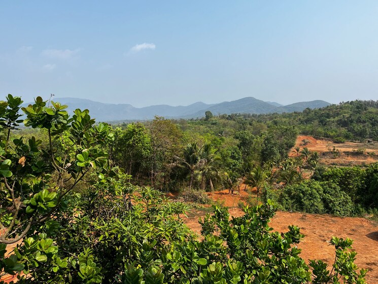 Exterior View, dodamarg  598 Sq.Yd. Plot In Dodamarg Sindhudurg 8505429