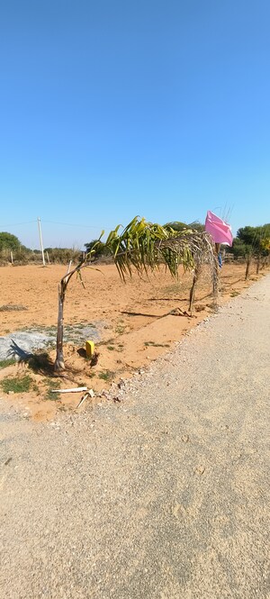 Plot Area in  Plot at Sector 16 A – for Sale