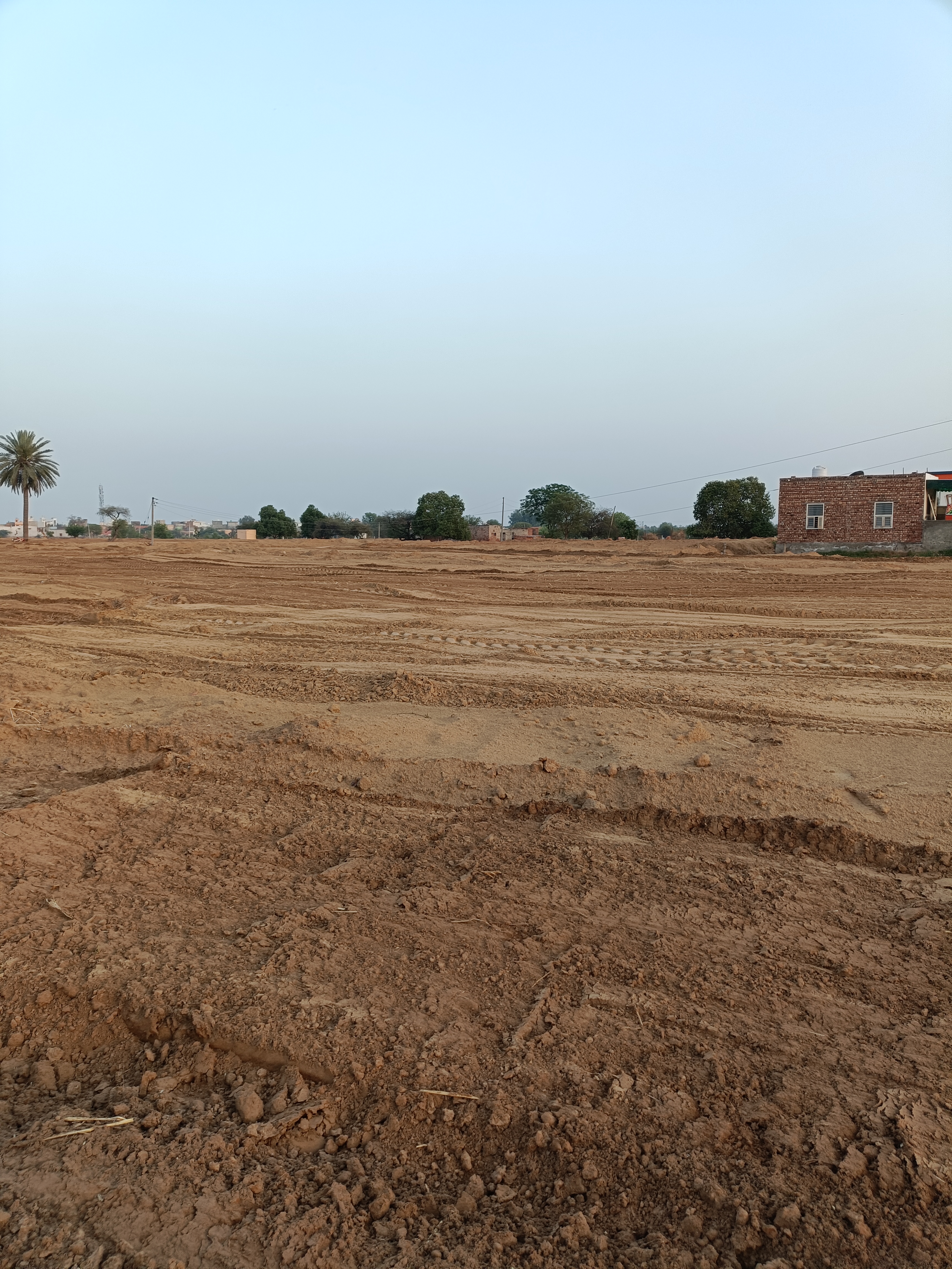 Plot For Sale in Royal City Hansi 