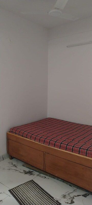 1.5 BHK Apartment For Rent in Sector 10 Greater Noida