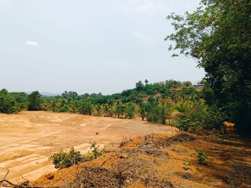  Plot For Sale in Dodamarg