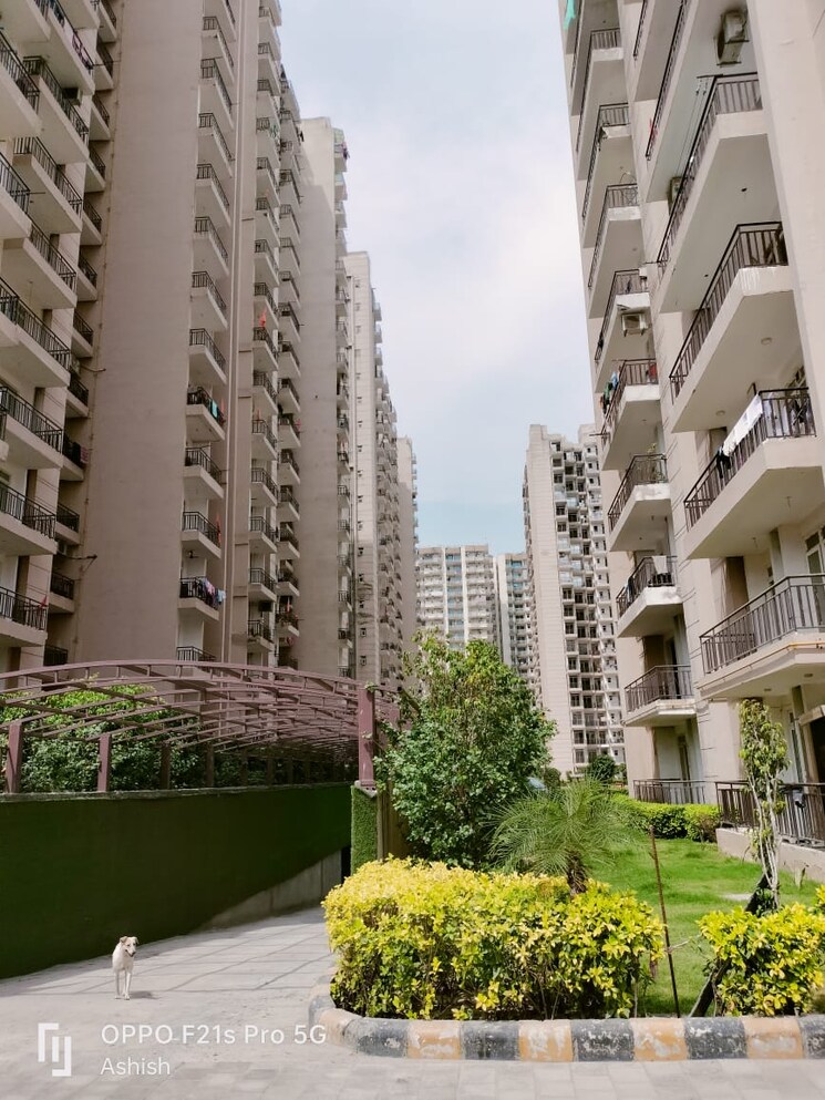 Exterior View, aims-greens-avenue 2 Bedroom 960 Sq.Ft. Apartment In Sector 4 Greater Noida Greater Noida 8509907