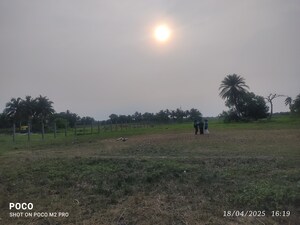  Plot For Sale in Julpia