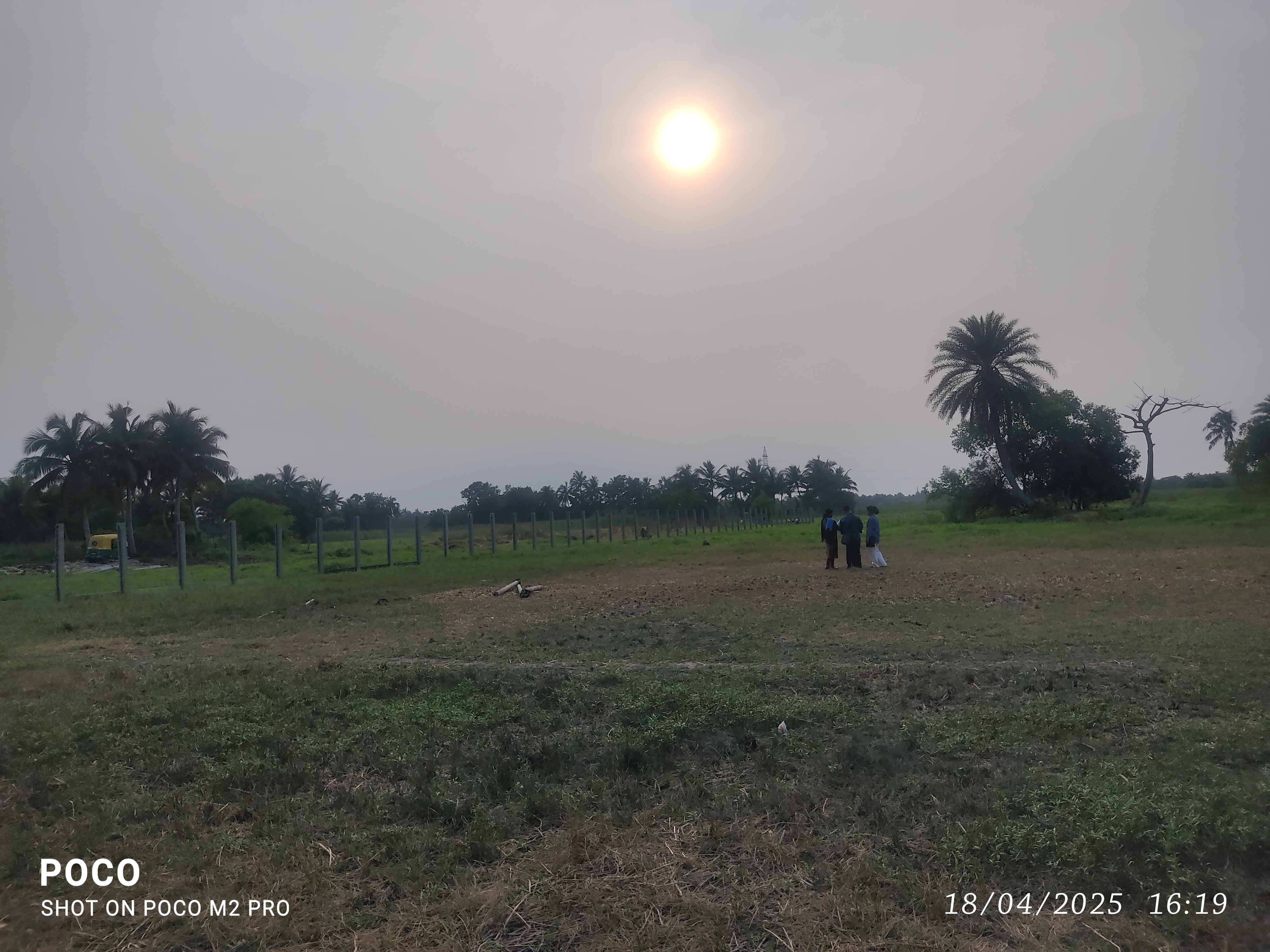 Plot For Sale in Nest Valley