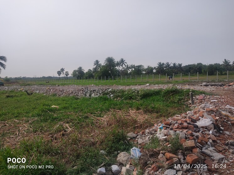 Exterior View, amtala  2100 Sq.Ft. Plot In Amtala Kolkata 8510221