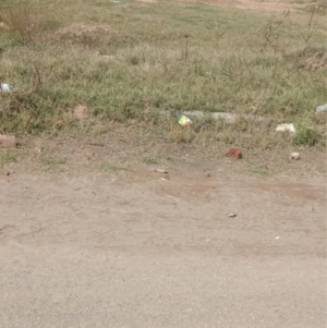  Plot For Sale in Sector 66