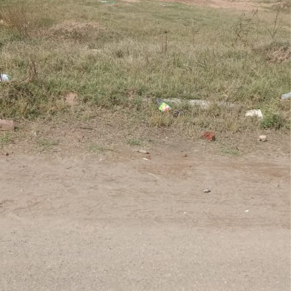 Plot For Sale in I.T City Sector 66 Beta