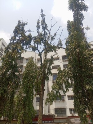 1 BHK Apartment – Exterior View View at Humera Park, Malad East - for Sale