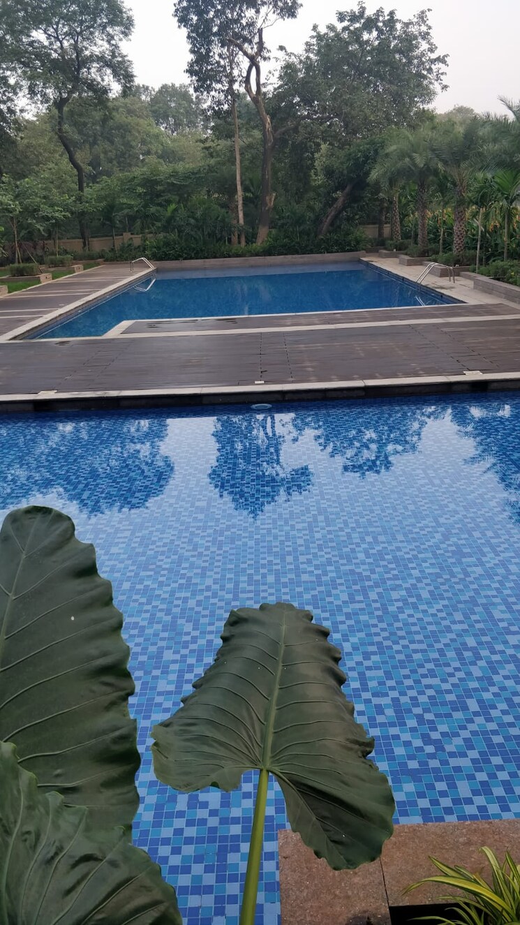 Swimming Pool, indiabulls-greens 2 Bedroom 756 Sq.Ft. Apartment In New Panvel Navi Mumbai 8510608