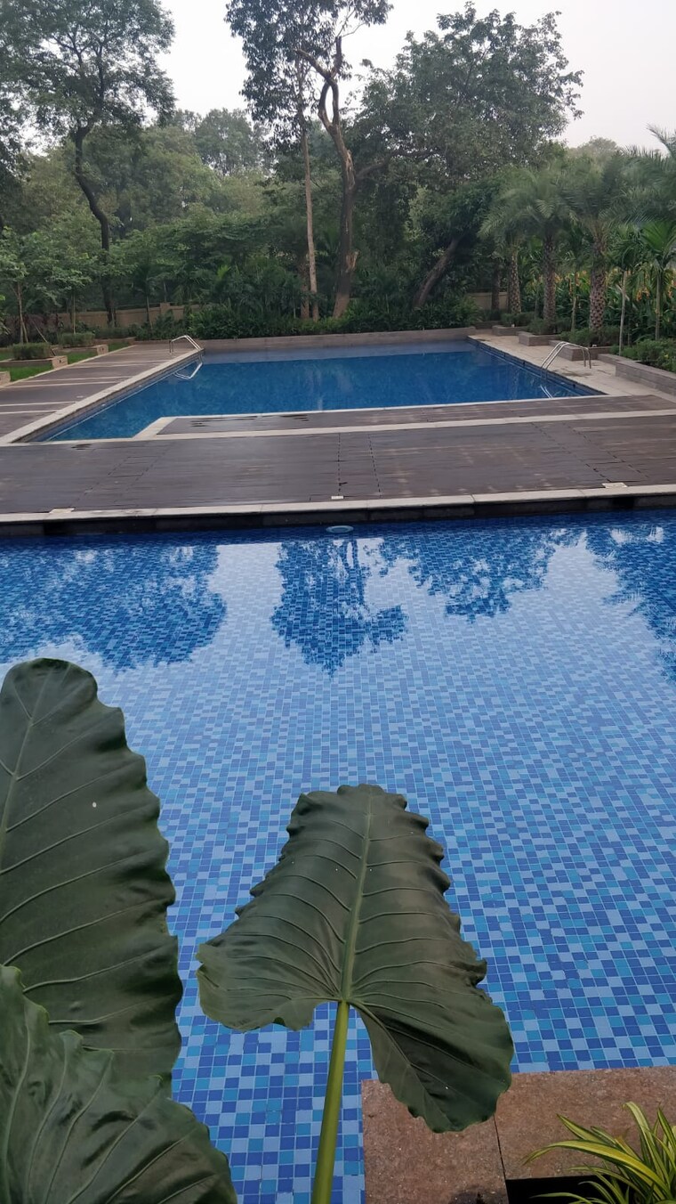 Swimming Pool, indiabulls-greens 2 Bedroom 756 Sq.Ft. Apartment In New Panvel Navi Mumbai 8510608