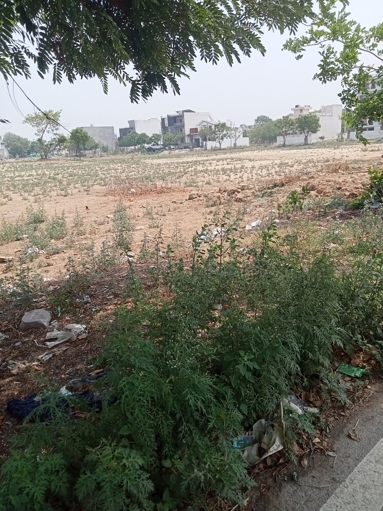 Exterior View, sector 17  605 Sq.Yd. Plot In Sector 17 Panipat 8510629