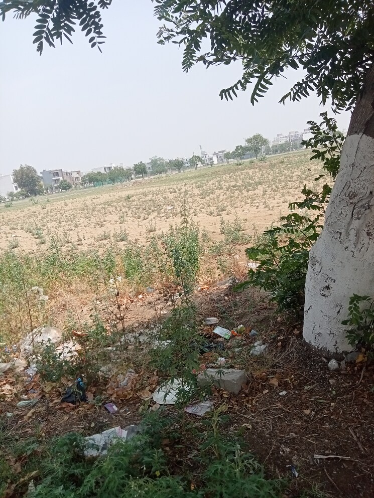 Exterior View, sector 17  605 Sq.Yd. Plot In Sector 17 Panipat 8510629