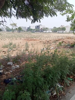  Plot For Sale in Sector 17