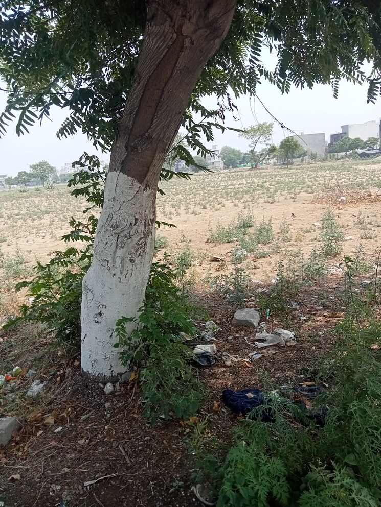 Exterior View, sector 17  605 Sq.Yd. Plot In Sector 17 Panipat 8510629