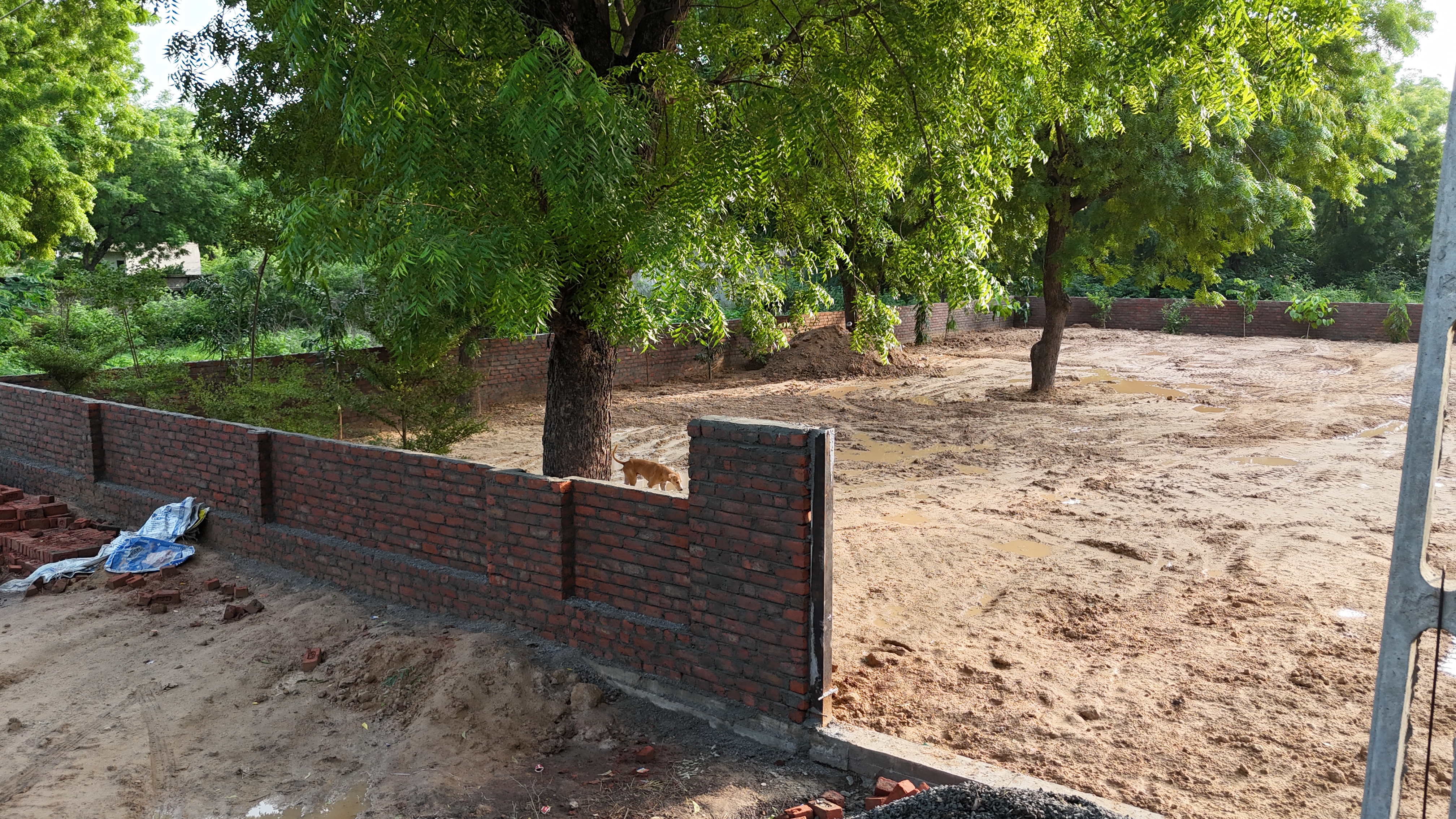 Plot For Sale in Scinccity 