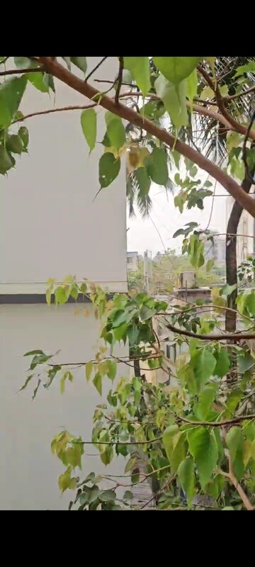 Room in 1 BHK Apartment at Dadar West – for Rent