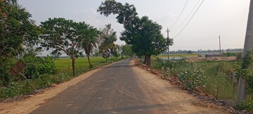  Plot – Exterior View View at Sri Bhumi Eeshaanya, Kankipadu - for Sale