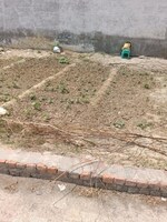 107 Sq.Yd. Plot in Panchsheel Park