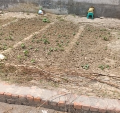 Plot For Sale in Partapur