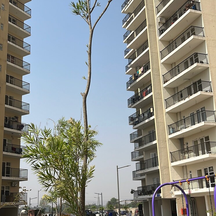 Exterior View, gls-arawali-homes 3 Bedroom 645 Sq.Ft. Apartment In Sohna Sector 4 Gurgaon 8512612