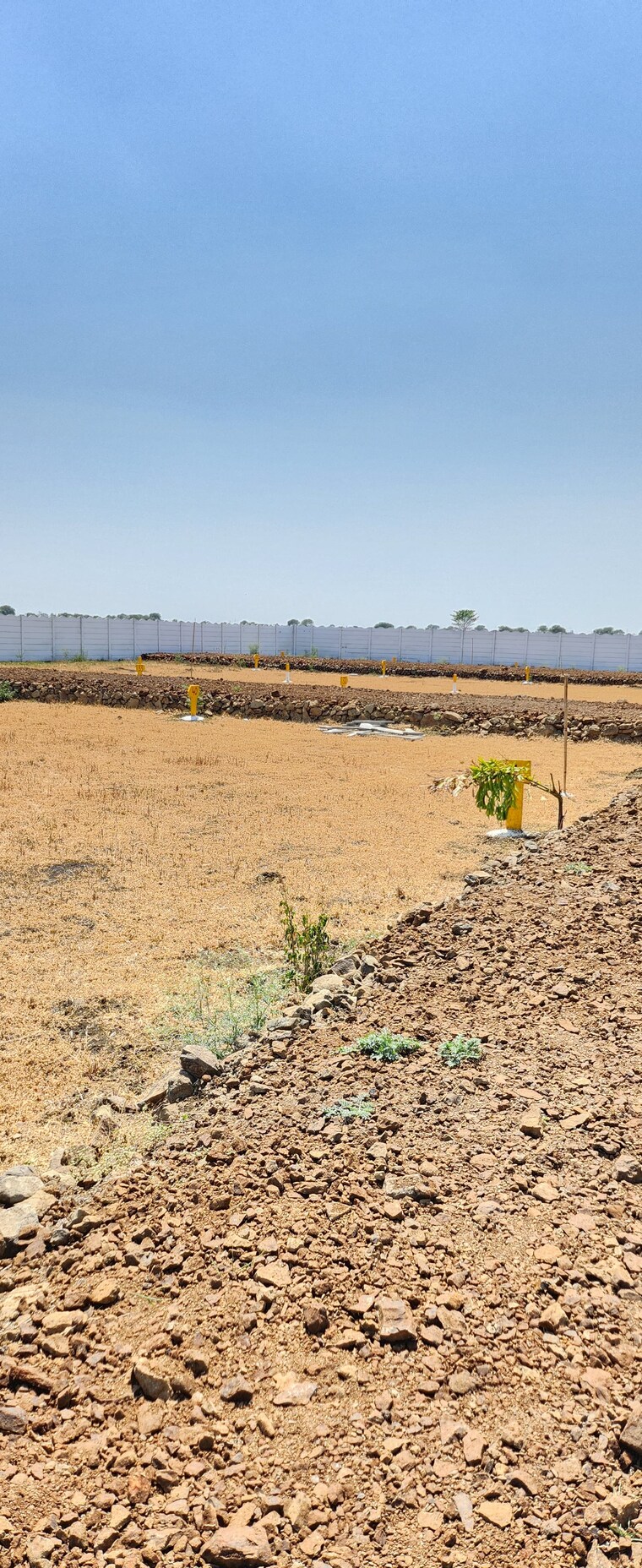 undefined, jabalpur cantt  1000 Sq.Ft. Plot In Jabalpur Cantt Jabalpur 8512634