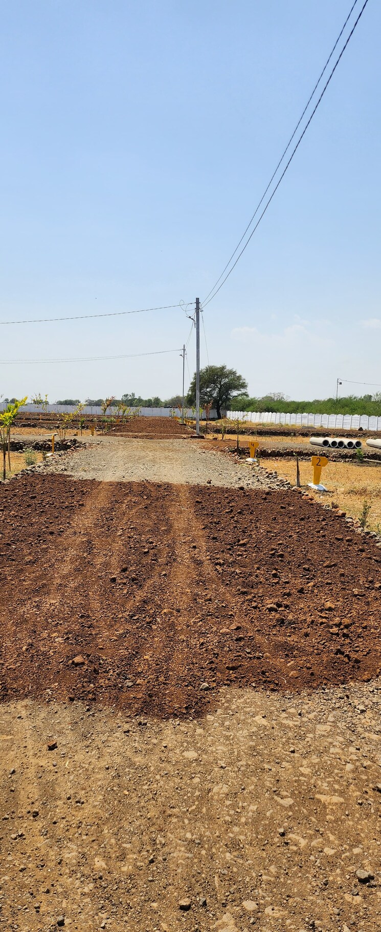 undefined, jabalpur cantt  1000 Sq.Ft. Plot In Jabalpur Cantt Jabalpur 8512634