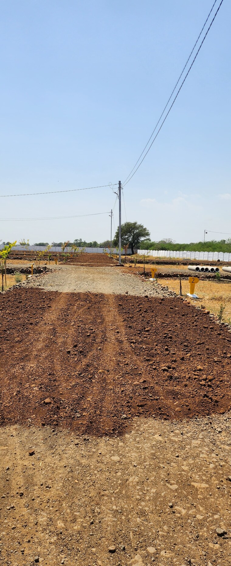 undefined, jabalpur cantt  1000 Sq.Ft. Plot In Jabalpur Cantt Jabalpur 8512634