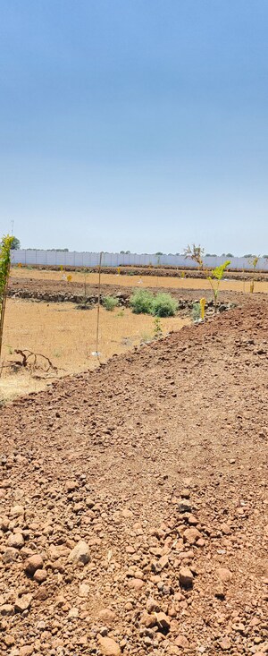  Plot For Sale in Jabalpur Cantt