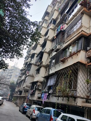 1 BHK Apartment – Exterior View View at Tardeo - for Sale
