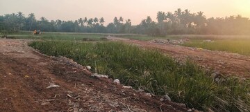 Plot Area in  Plot at Diamond Harbour Road – for Sale
