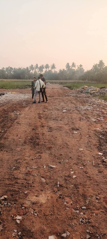 Plot Area in  Plot at Diamond Harbour Road – for Sale