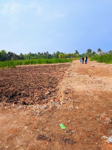 Plot Area in  Plot at Diamond Harbour Road – for Sale