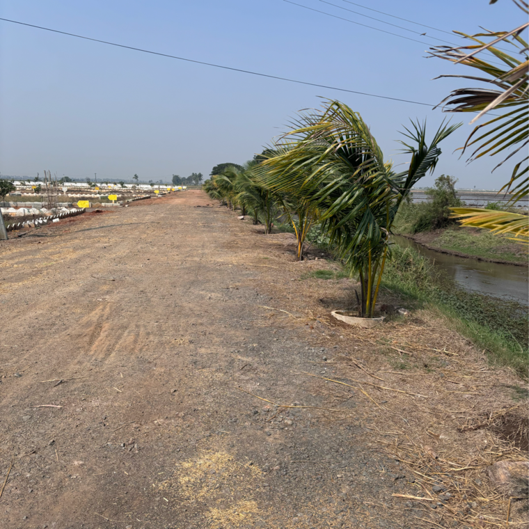 undefined, kunchanapalli  200 Sq.Yd. Plot In Kunchanapalli Vijayawada 8513288