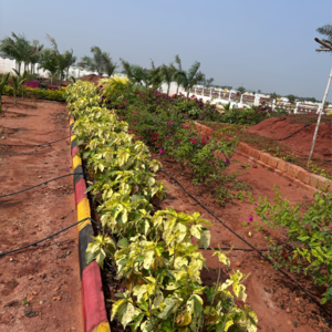   Plot at Kunchanapalli – for Sale