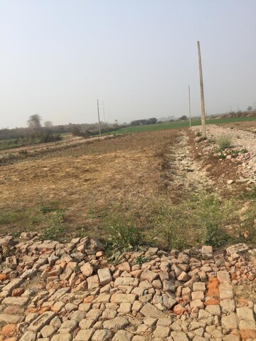 Plot Area in  Plot at Sector 150 – for Sale
