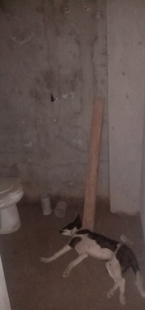  2 BHK Independent House at Duhai – for Sale