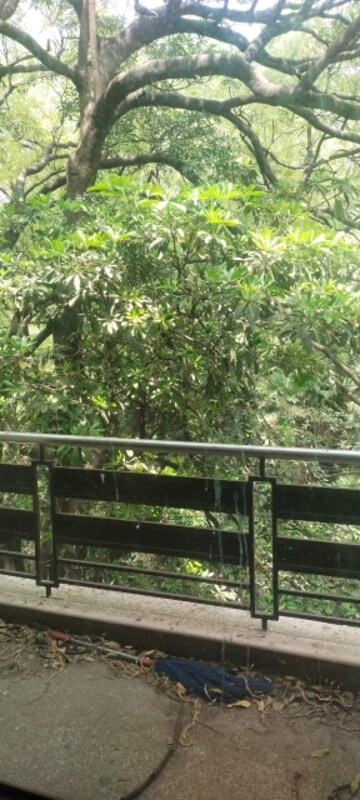 Balcony in 2 BHK Builder Floor at Malviya Nagar – for Rent