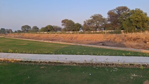  Plot – Exterior View View at Sector 150 - for Sale