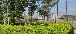  Plot – Exterior View View at Kumhari - for Sale