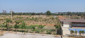  Plot For Sale in Kumhari