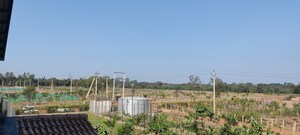  Plot – Exterior View View at Kumhari - for Sale