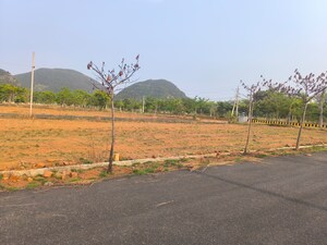  Plot – Exterior View View at Kothavalasa - for Sale