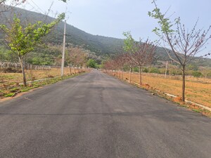  Plot – Exterior View View at Kothavalasa - for Sale