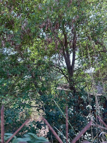  Plot – Exterior View View at South City 1 - for Sale