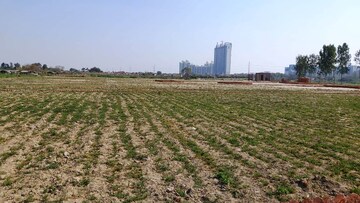  Plot – Exterior View View at Sector 137 - for Sale