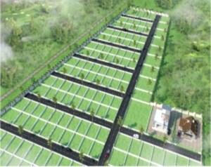  Plot For Sale in Hinjewadi