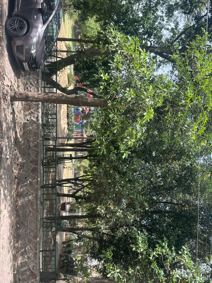 Exterior View, sector 61 4 Bedroom 162 Sq.Yd. Villa In Sector 61 Noida 8516000