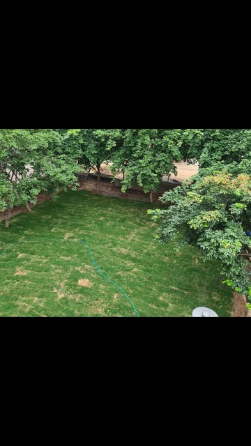 3 BHK Builder Floor – Exterior View View at Sector 40 - for Rent